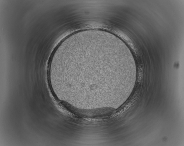 X0000097591039200803280923