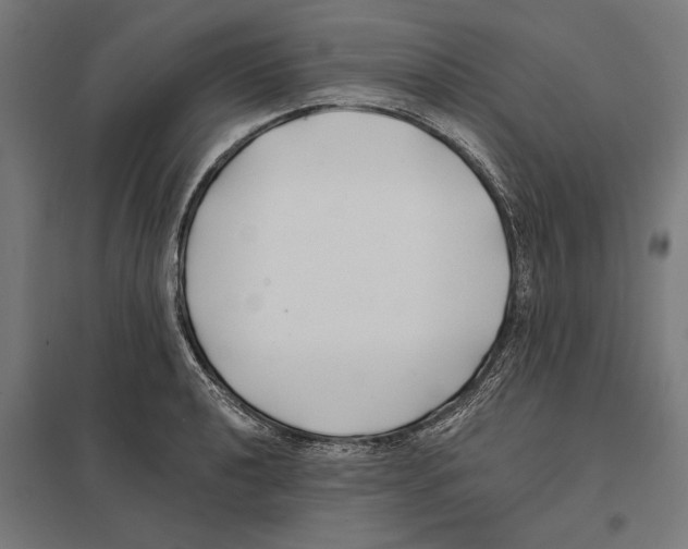 X0000097591040200803280923