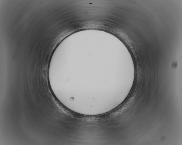 X0000097591041200803280923