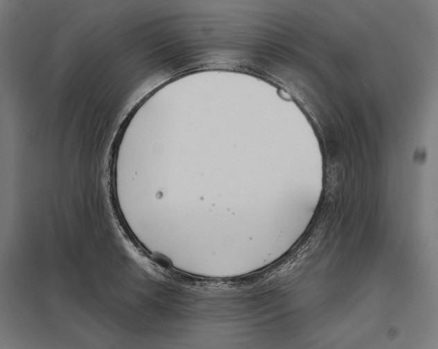 X0000097591042200803280923