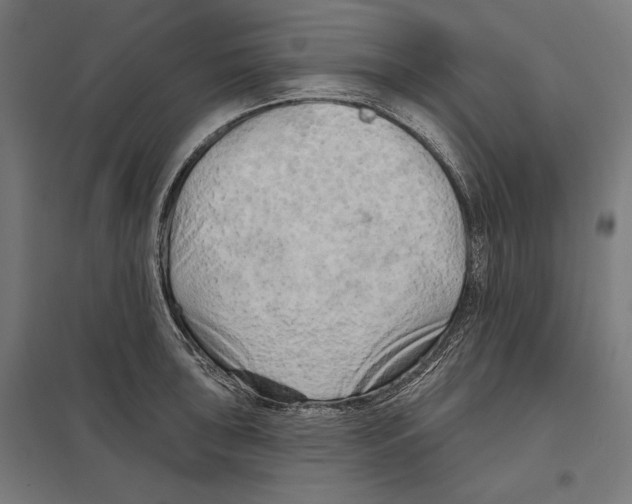 X0000097591043200803280923