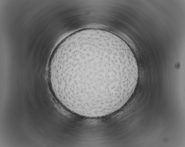 X0000097591044200803280923