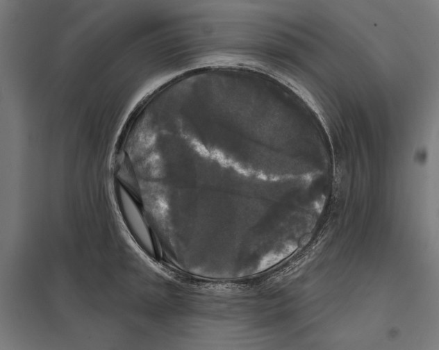 X0000097591045200803280923