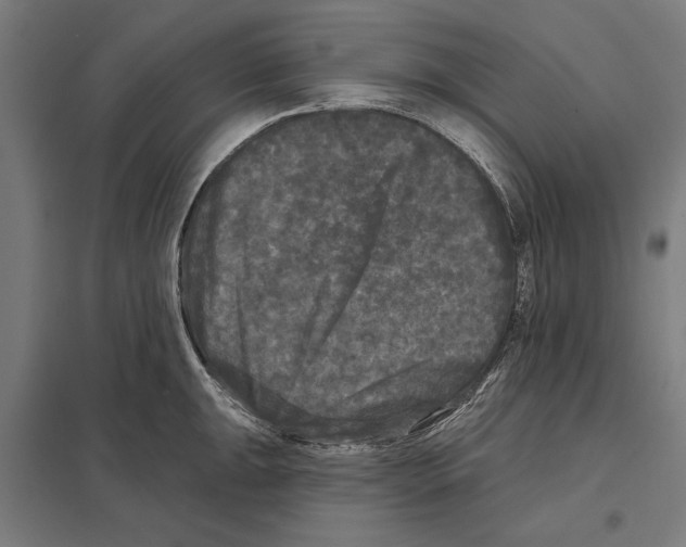 X0000097591047200803280923