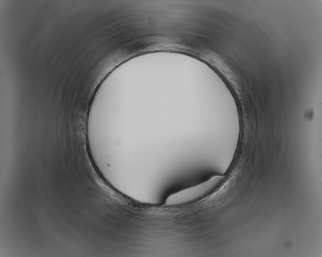 X0000097591049200803280923