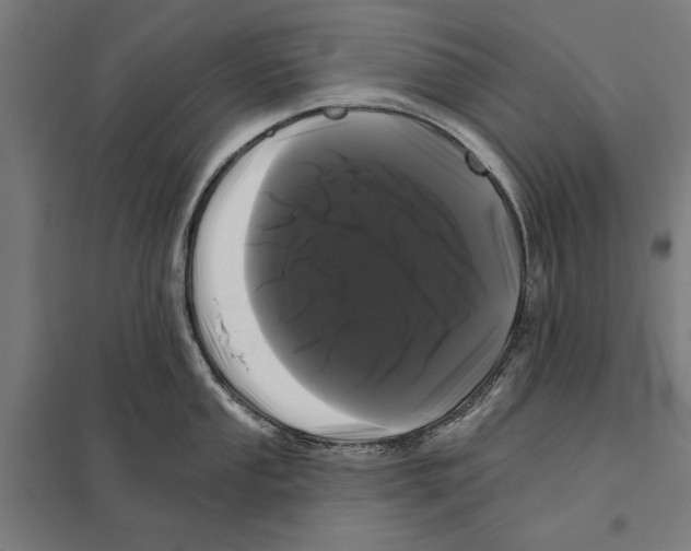 X0000097591053200803280923