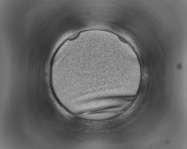 X0000097591054200803280923