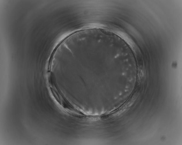 X0000097591055200803280923