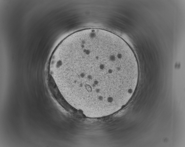 X0000097591056200803280923