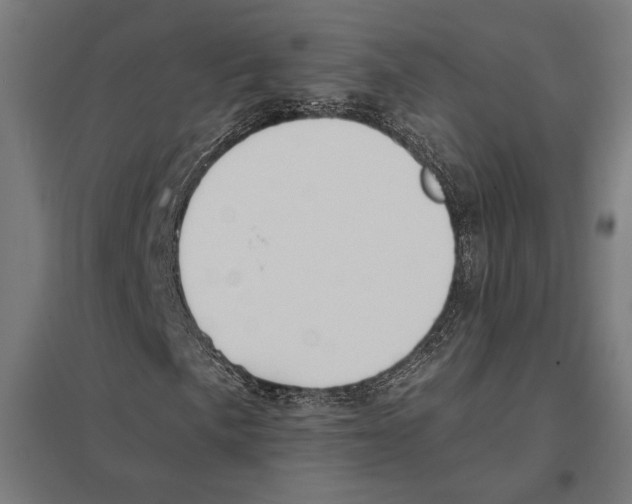 X0000097591057200803280922