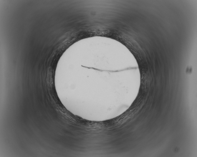 X0000097591058200803280922