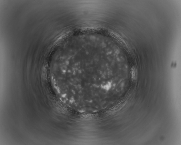 X0000097591059200803280922