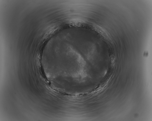 X0000097591060200803280922