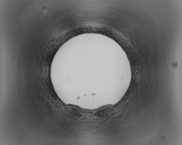 X0000097591061200803280922