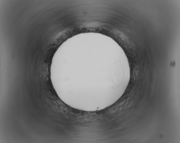 X0000097591062200803280922