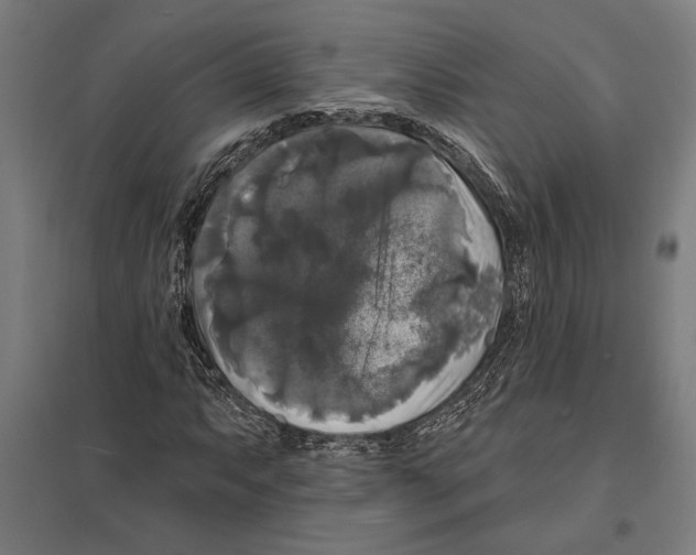 X0000097591063200803280922