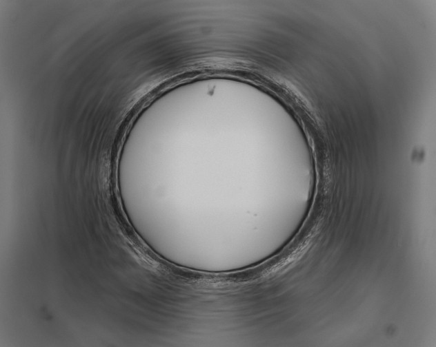 X0000097591065200803280922