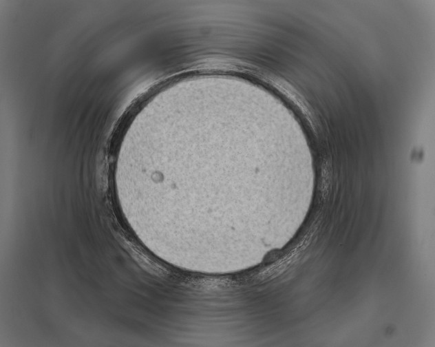 X0000097591067200803280922