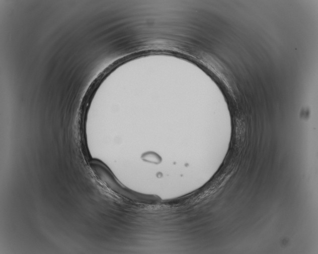 X0000097591068200803280922