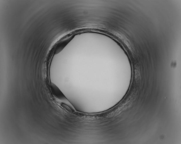 X0000097591069200803280922