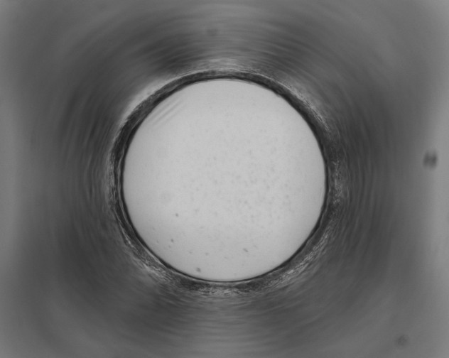 X0000097591070200803280922