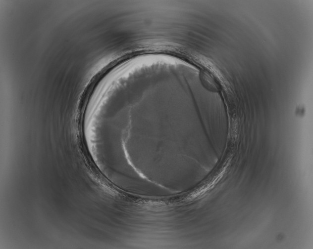 X0000097591071200803280922