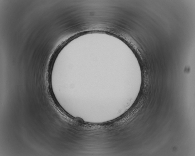 X0000097591072200803280922