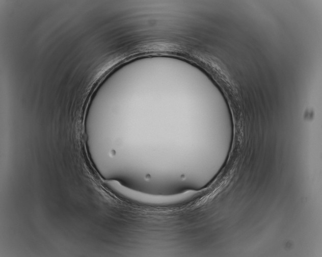 X0000097591073200803280922