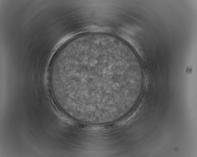 X0000097591074200803280922