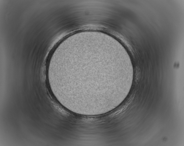 X0000097591075200803280922