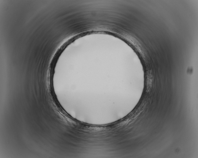 X0000097591076200803280922