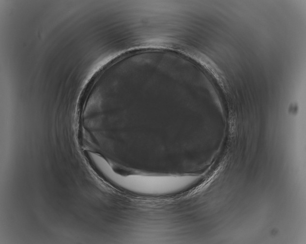 X0000097591077200803280922