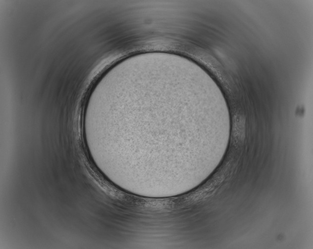 X0000097591078200803280922