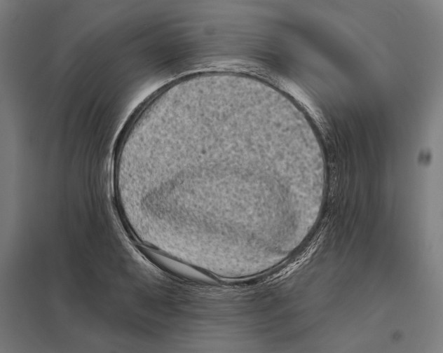 X0000097591079200803280922