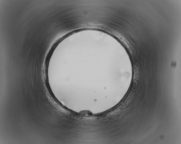 X0000097591080200803280922