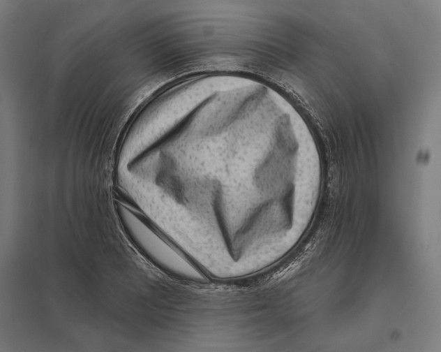 X0000097591081200803280922