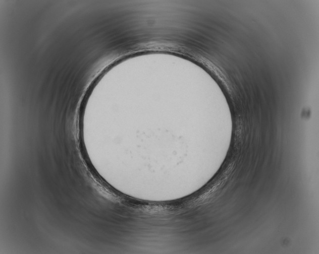 X0000097591082200803280922