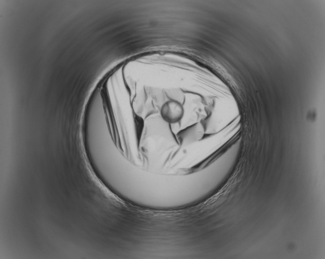 X0000097591084200803280922