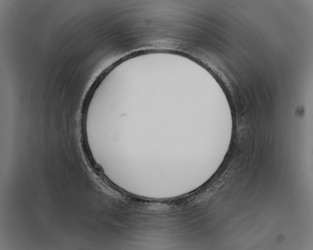 X0000097591085200803280922