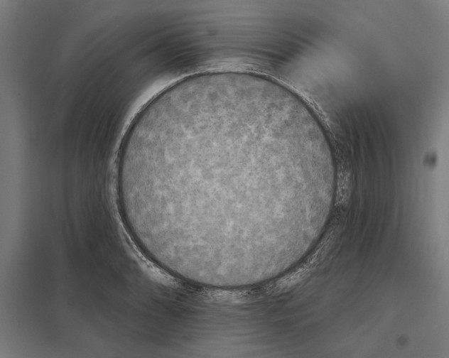 X0000097591086200803280922