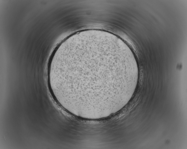 X0000097591088200803280922