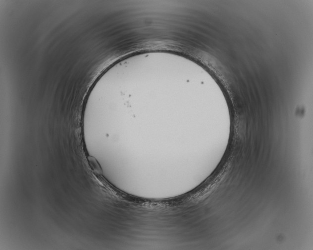 X0000097591089200803280922