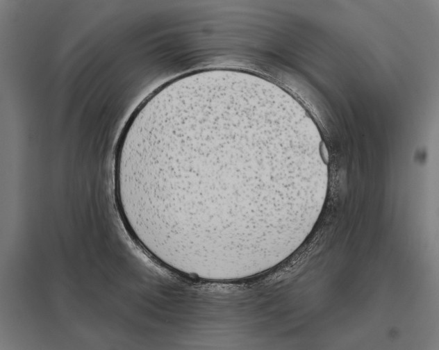 X0000097591092200803280922