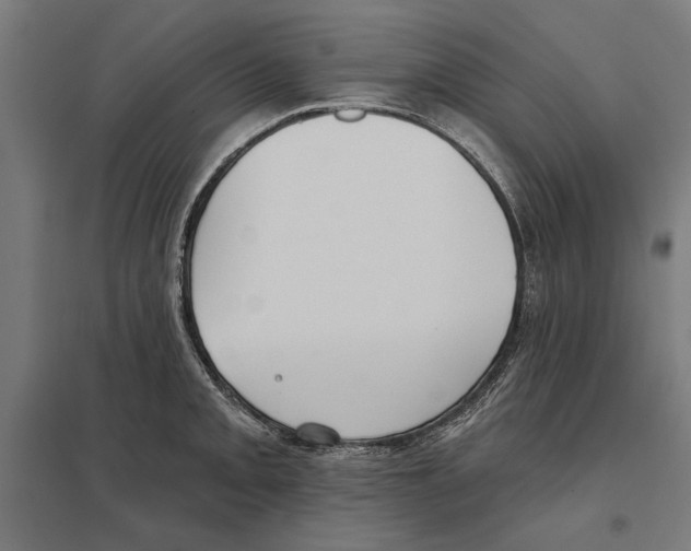 X0000097591093200803280922