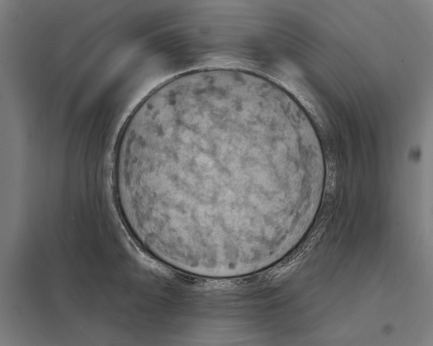 X0000097591094200803280922