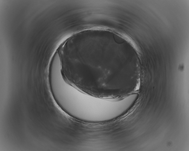 X0000097591095200803280922