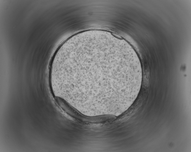 X0000097591096200803280922