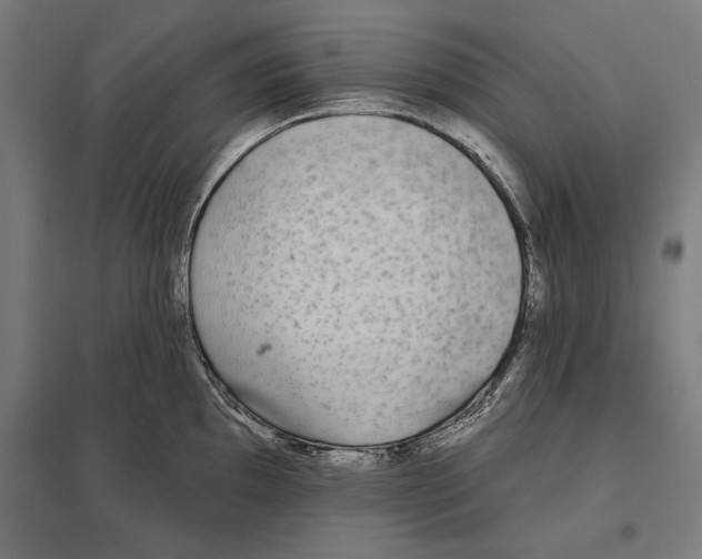 X0000097591097200803280922