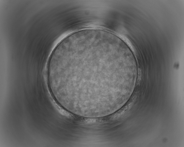 X0000097591098200803280922