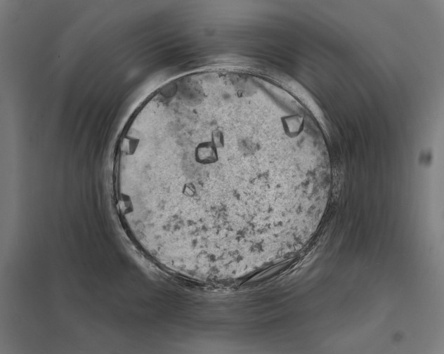 X0000097591099200803280922